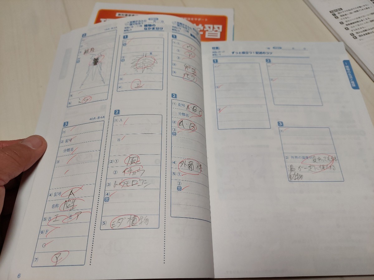 中古　中学校教科書　理科の自主学習1　新学社_画像4