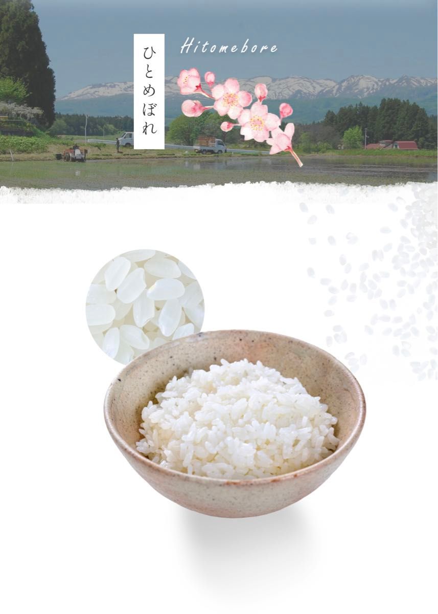 お米 精米 【Have a Junjou Rice day! 5kg 】銀河のしずく6割　ひとめぼれ4割　ブレンド米でございます♪