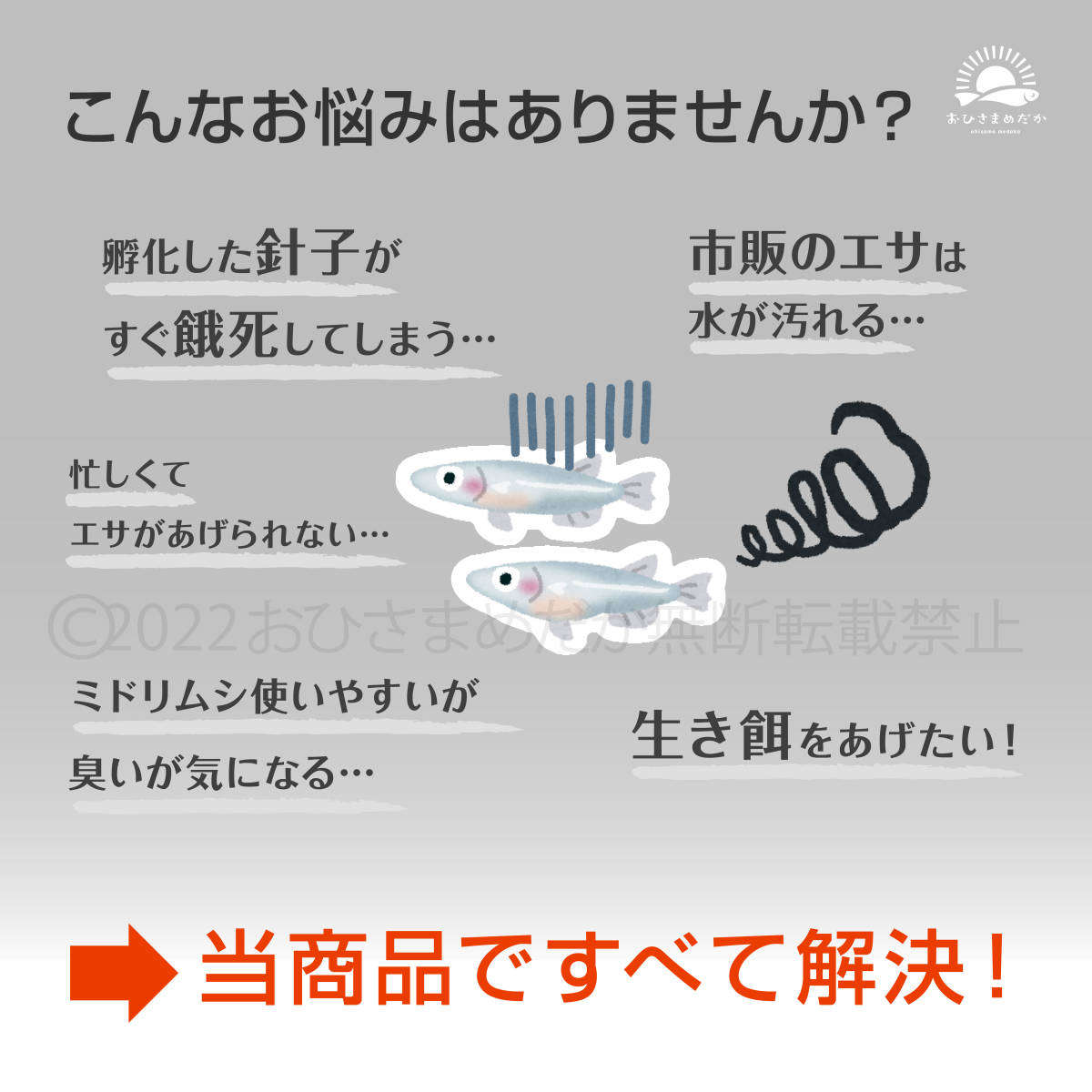 新商品【青水 グリーンウォーター増量中 1800ml】メダカ めだか 金魚 熱帯魚 ミジンコ培養 ゾウリムシ ミドリムシ 針子にどうぞの画像2