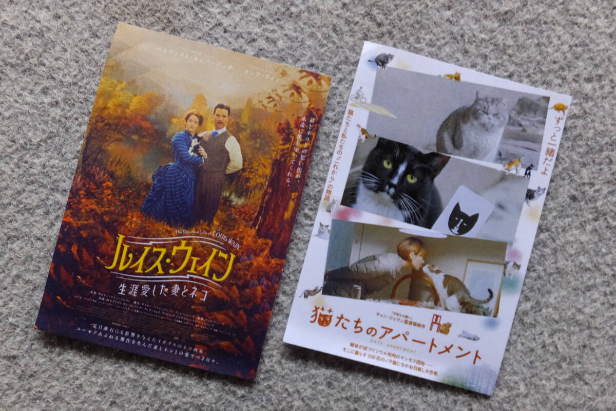 猫映画半券2枚『ルイス・ウェイン/生涯愛した妻と猫』B・カンバーバッチ/クレア・フォイ『猫たちのアパートメント』チョン・ジェウン監督の画像1