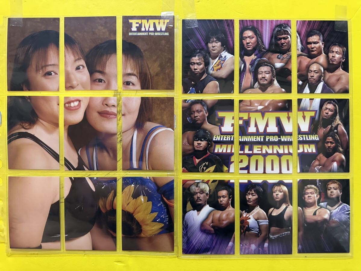FMW オフィシャルカードコレクション　2000 スペシャル　18枚　ノーマル　162枚_画像10