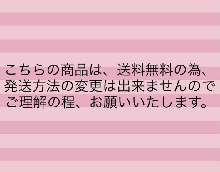 【送料無料】名古屋金鯱チーズタルト（８個入）正規品　焼菓子　人気商品　お買い得！　　《外箱なし、ゆうパケット発送》_画像6