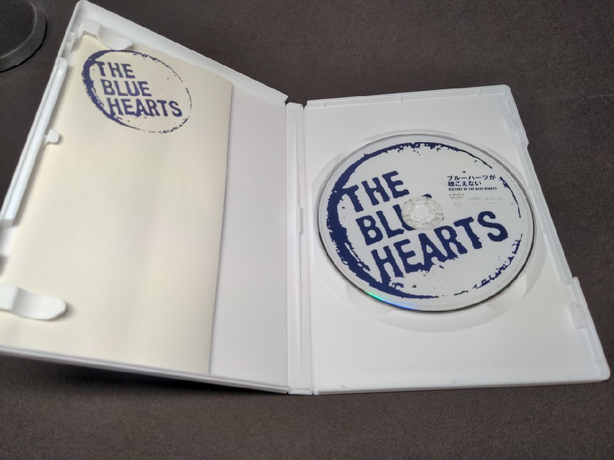 セル版 DVD ブルーハーツが聴こえない HISTORY OF THE BLUE HEARTS / ed257の画像3