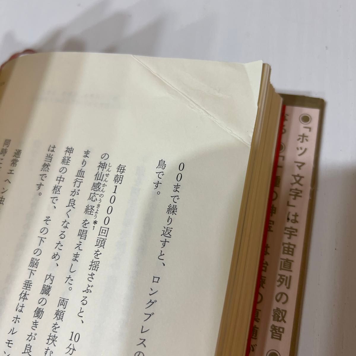 〈神代文字〉言霊治癒のしくみ ぜんぶ人体で確かめた カタカムナ・ホツマ・フトマニ・ひふみ祝詞がなぜ人体を調律するのか