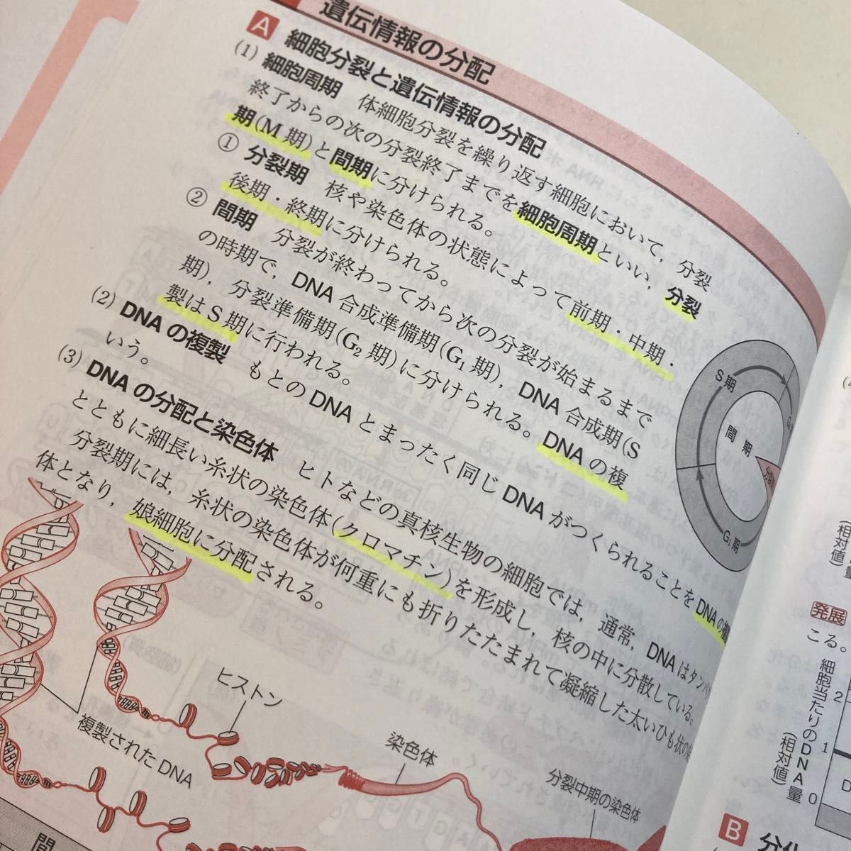 改訂版 生物基礎 数研出版 教科書 リードα 五訂版|Yahoo!フリマ 改訂版 生物基礎 数研出版 教科書 リードα 五訂版|Yahoo!フリマ