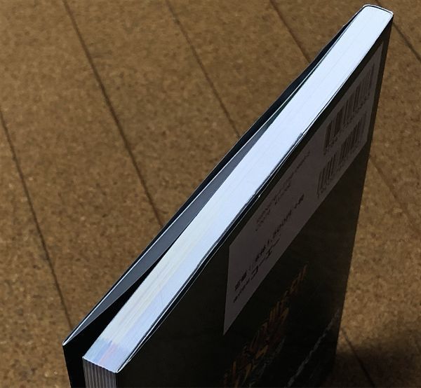 信長の野望DS2 ガイドブック 初版 オマケ付◆送料無料 匿名配送 攻略本 コーエー DS