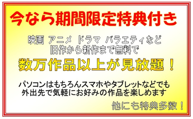 送料無料! DVD ブルーレイ 地デジ 他、各種ディスク 対応 ◆特典付き◆_画像3