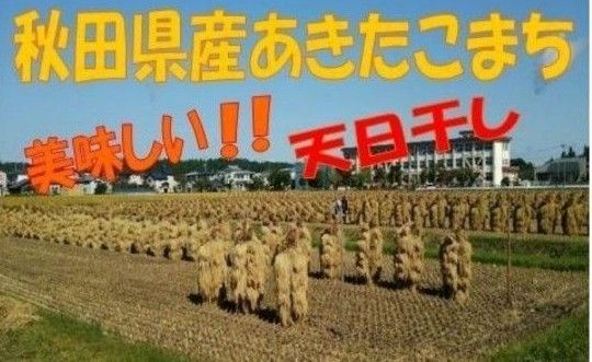 農家直送☆令和５年産☆自然乾燥米 秋田県産あきたこまち玄米２０kg