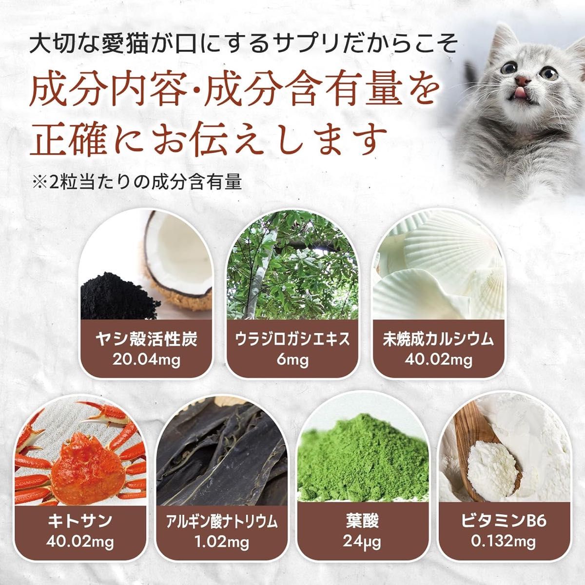 ウィズペティ【国産】猫用サプリメント 毎日腎活 60粒入×2袋セット 活性炭＆ウラジロガシ