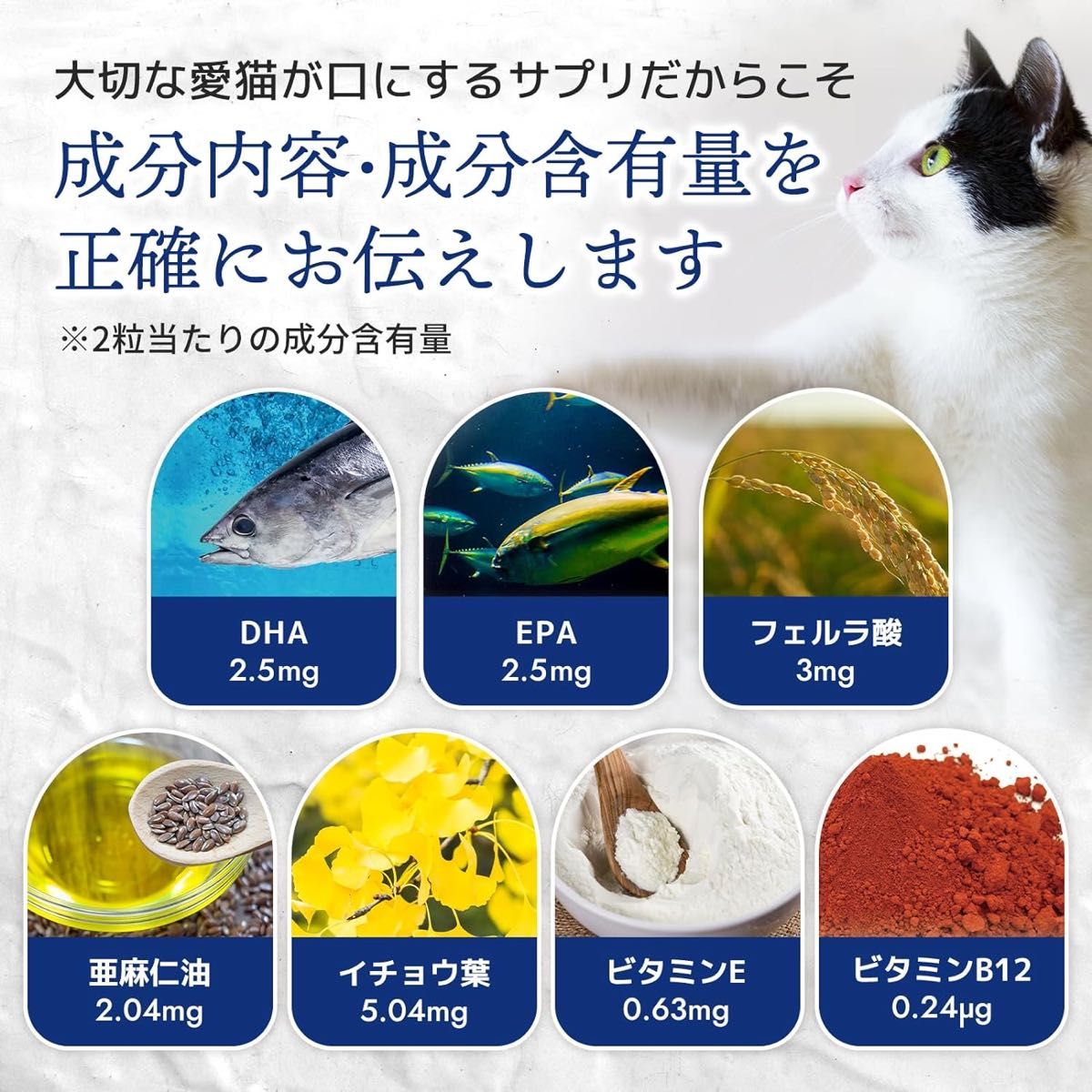 ウィズペティ【国産】シニア猫用サプリメント 毎日一緒 60粒入×3袋セット DHA＆EPA
