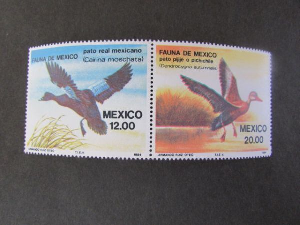 ⑫ 動物コレクション メキシコ 鳥；水鳥 2種完 1984の画像1