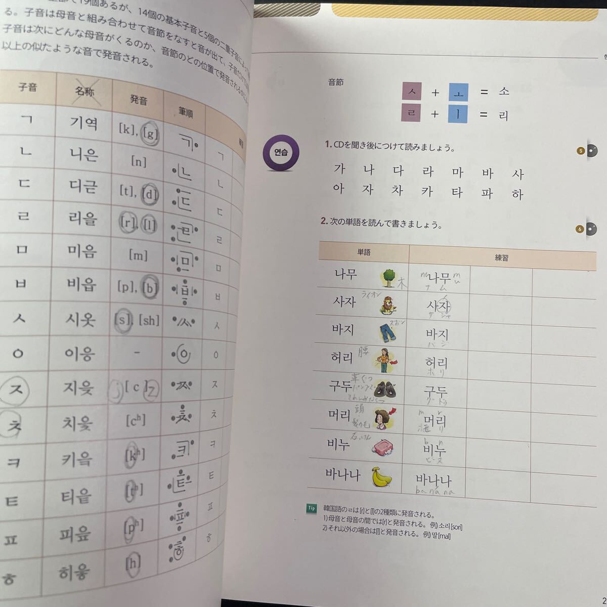 韓国語　教科書　テキスト　問題　CD付き　書き込み始めの数ページのみ　中古　本　簡単　わかりやすい_画像8