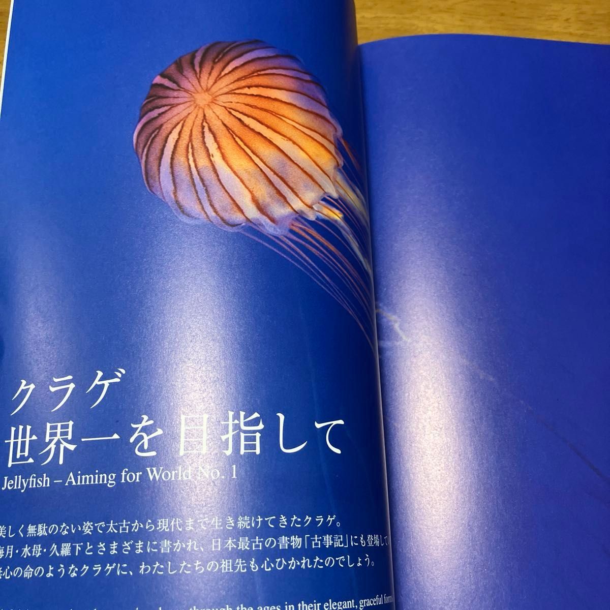 新江ノ島水族館"えのすい"ガイドブック