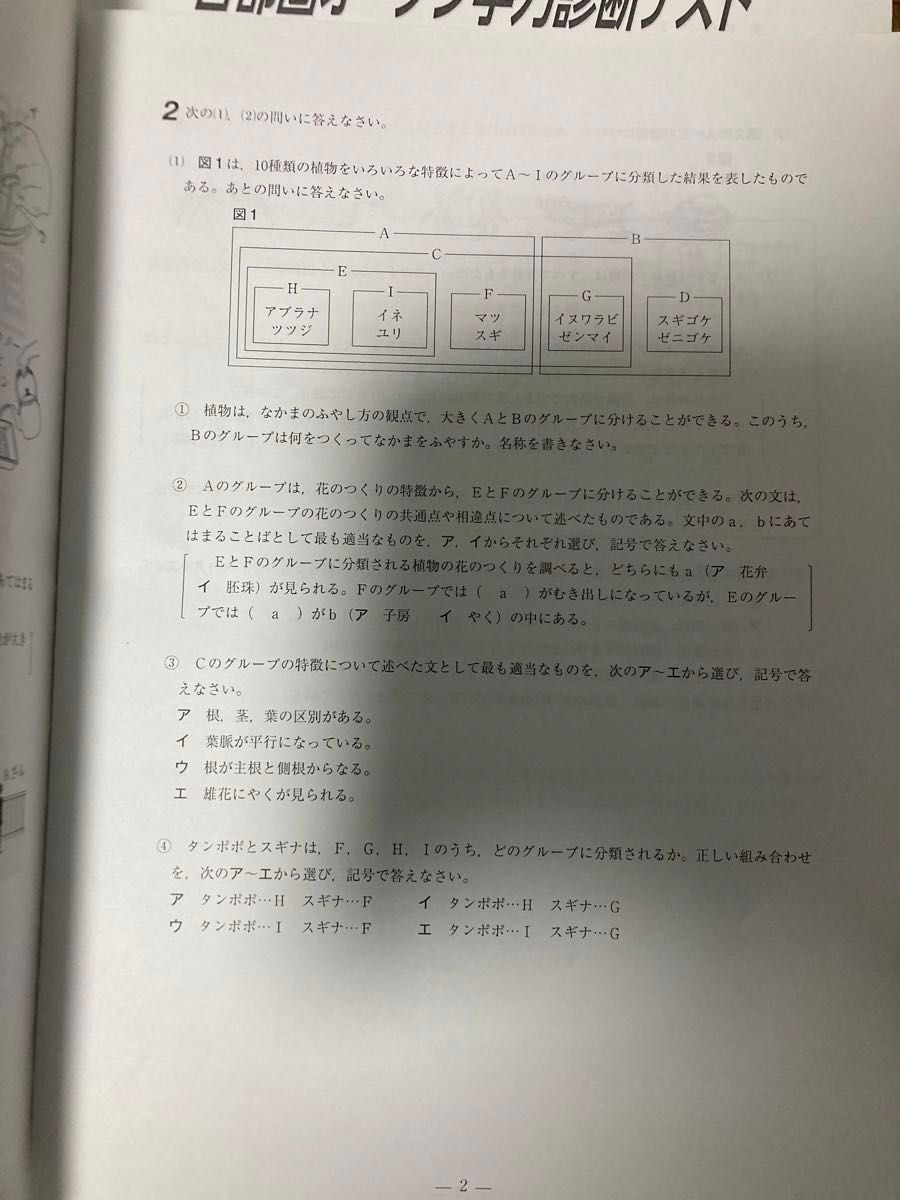 早稲田アカデミー　2024年度3月3日 新中2対象首都圏オープン学力診断テスト