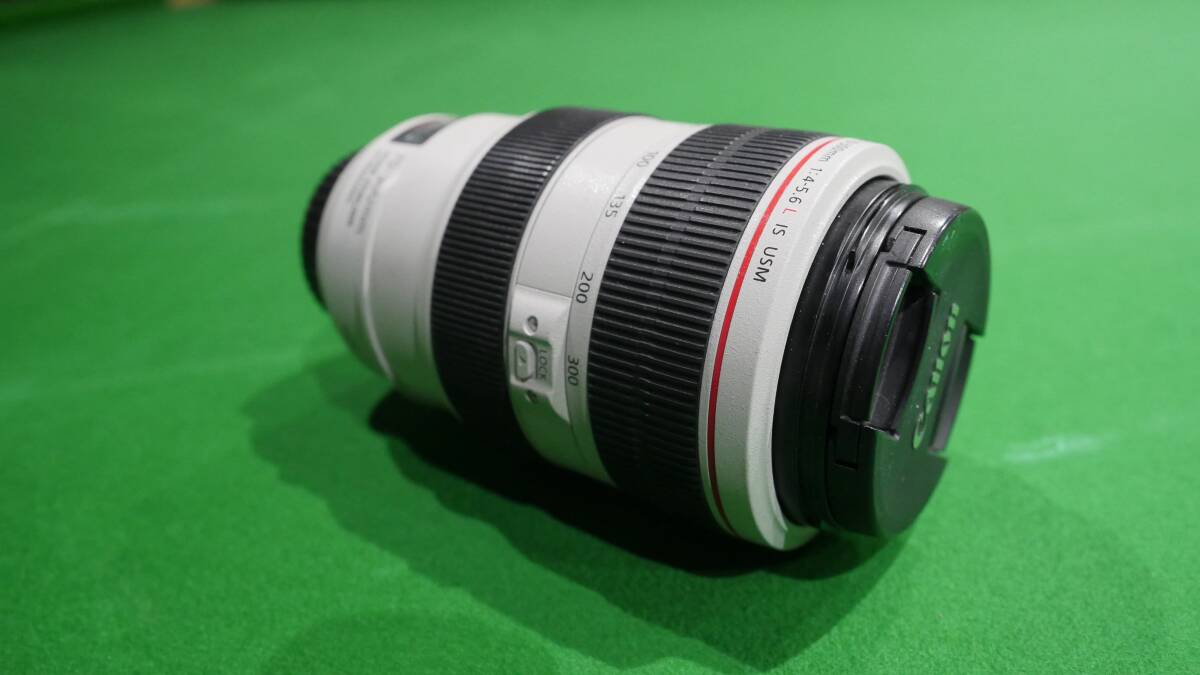 Canon ZOOM LENS EF 70-300mm 1:4-5.6 L IS USM ULTRASONIC_画像1