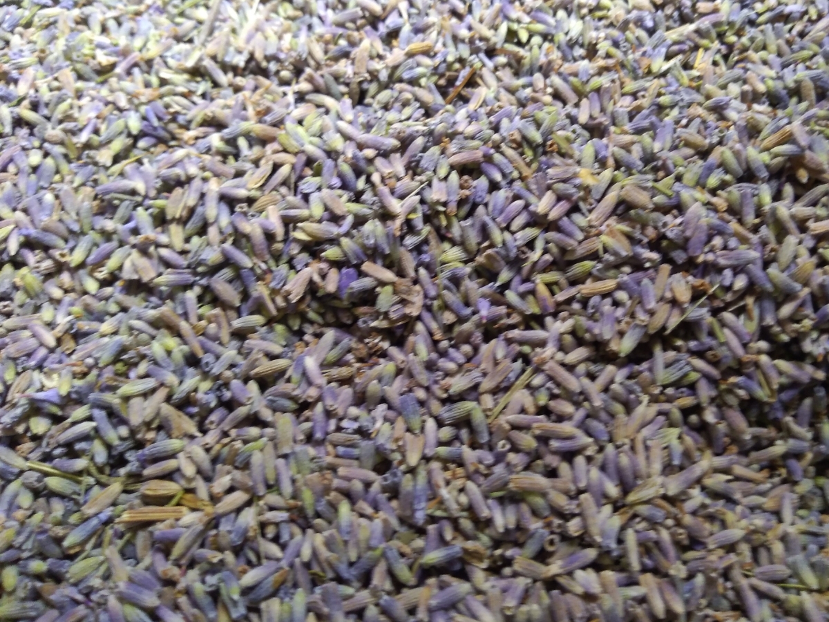  lavender 50g herb tea 
