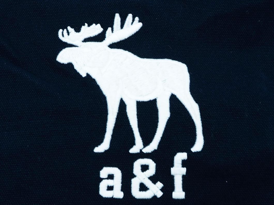 Abercrombie & Fitch アバクロンビー＆フィッチ キャンバス 2WAY ロゴ ショルダー バッグ 紺 ■■ ☆ ecb5 レディース_画像5