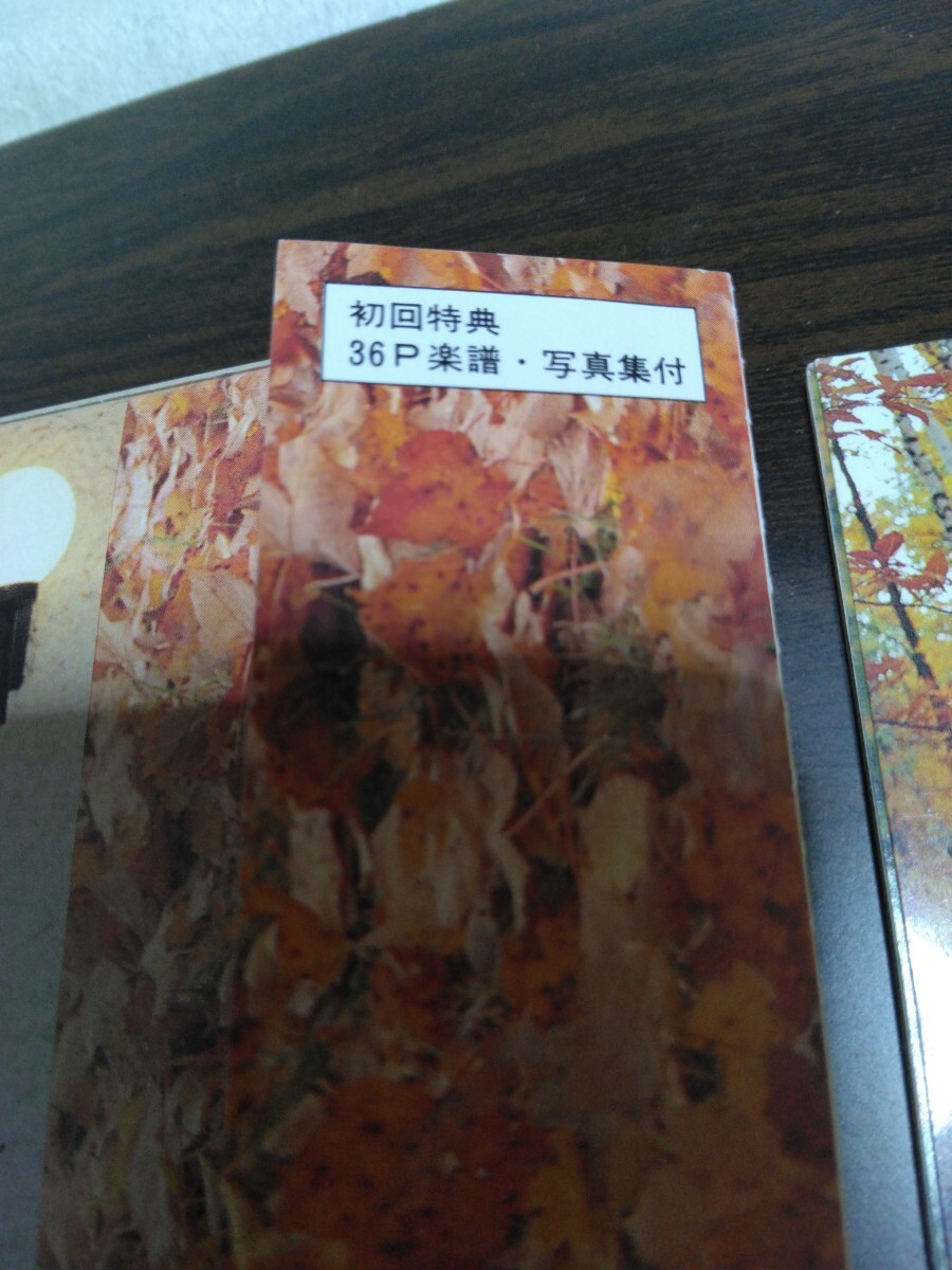 岡村孝子　アフタートーンⅡ　初回限定盤 CD_画像4