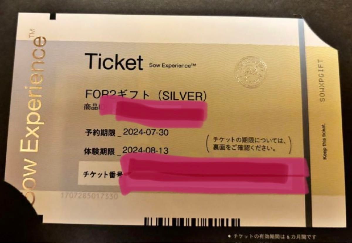 SOW EXPERIENCE FOR2 体験ギフト silver ソウエクスペリエンス　シルバー　宿泊　マッサージ　ディナー　