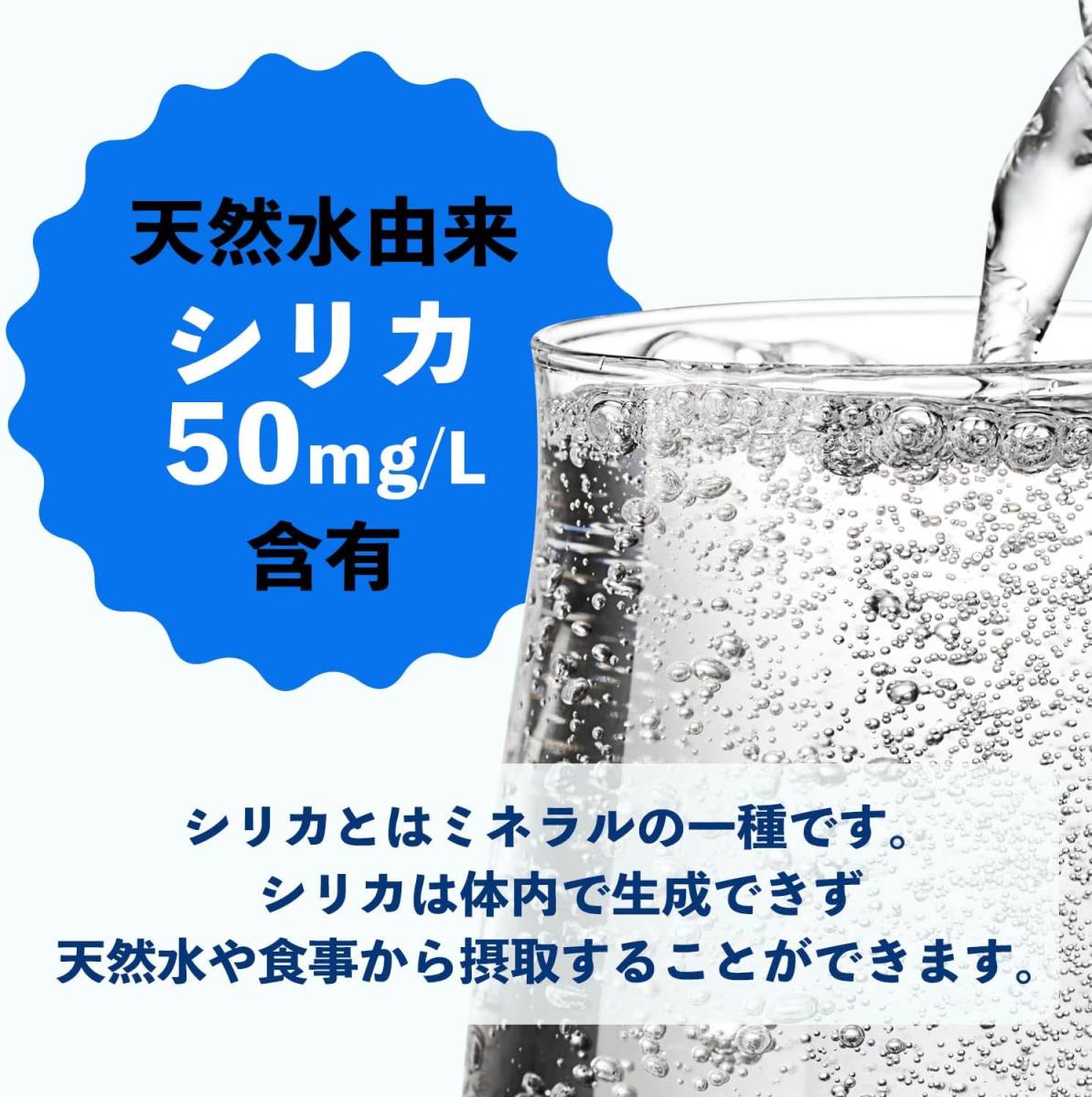 伊藤園 ラベルレス 強炭酸水 500ml×24本 シリカ含有の画像2