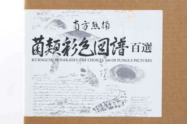 「南方熊楠 菌類彩色図譜 百選」エンタプライズ株式会社 発行 南方文枝 発行者 1989年 検キノコ博物学図譜 別冊付 書箱付 #36040_画像8