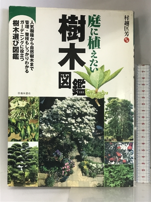 庭に植えたい樹木図鑑-管理・整枝もしっかりわかる ガーデニングに役立つ樹木選び図鑑 (池田書店の園芸シリーズ) 池田書店 村越 匡芳_画像1