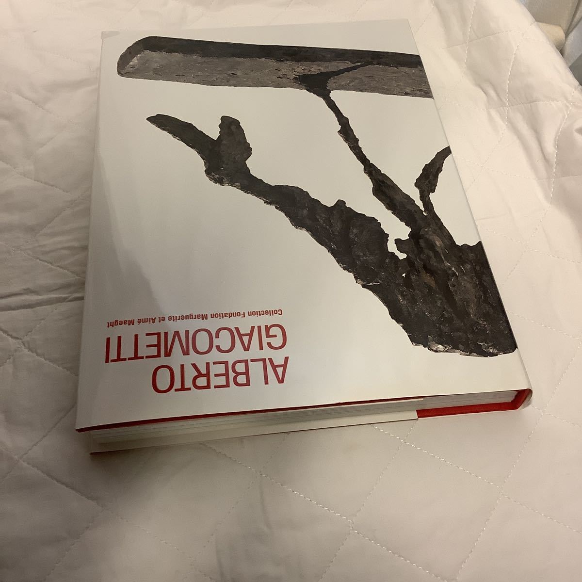 図録 ジャコメッティ展 ALBERTO GIACOMETTI アルベルト・ジャコメッティ 2017年 国立新美術館の画像3