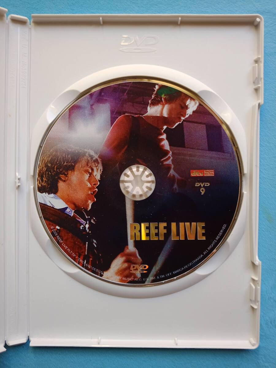 REEF【DVD】LIVE【PAL】_画像3