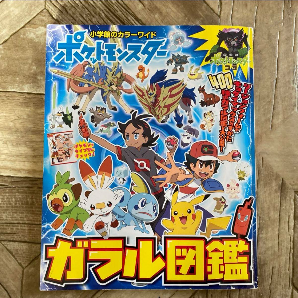 ポケモン大図鑑ガラル図鑑おあそびBook ポケモンをさがせ！絵本