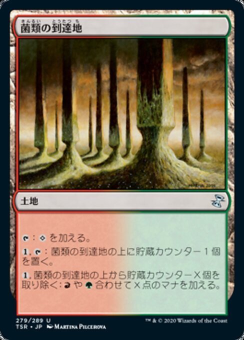 MTG ■土地/日本語版■ 《菌類の到達地/Fungal Reaches》★FOIL★ 時のらせんリマスタ－ TSR_画像1