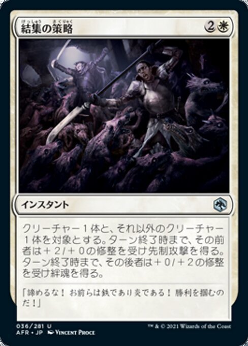 MTG ■白/日本語版■ 《結集の策略/Rally Maneuver》★FOIL★フォーゴトン・レルム探訪　AFR_画像1