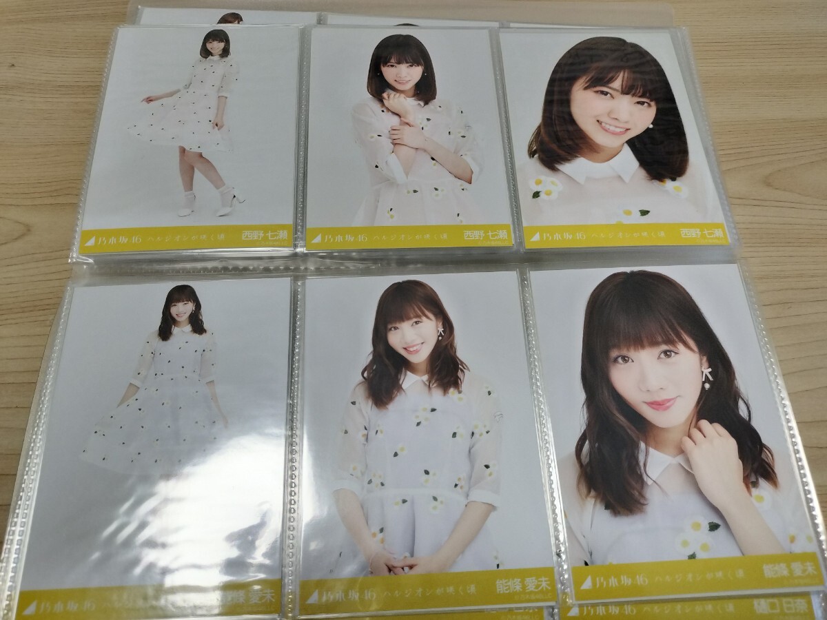  Nogizaka 46 life photograph full comp hall Hal ji on ... about all member full comp all 108 sheets 