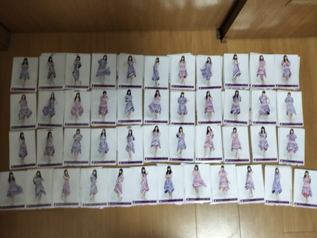  Nogizaka 46 life photograph full comp . go in when . is possible from now day is possible 45 member ×4 kind 180 sheets 