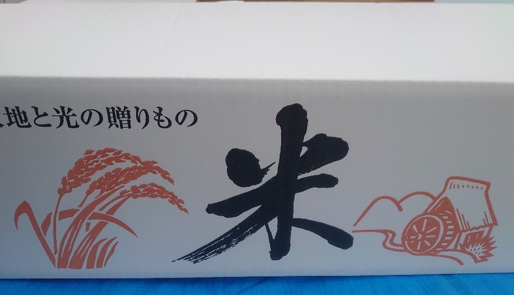 精米 1等米 10kg☆令和5年産 特A品種コシヒカリ 栃木県北部☆_画像3