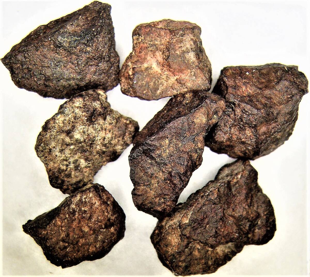 46億年前の隕石コンドライト（ｂ）