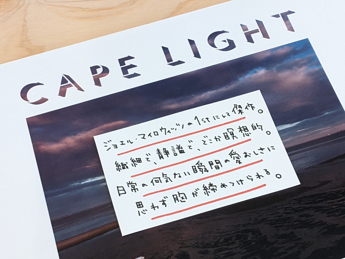 【洋書 新品】Cape Light : Joel Meyerowitz / ジョエル・マイロウィッツ ジョエル・マイヤーウィッツ ニューカラー