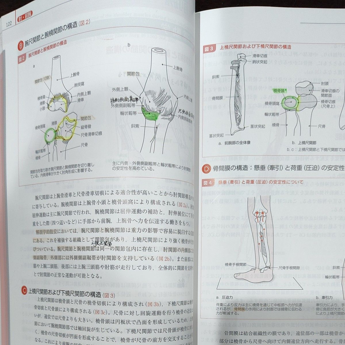 ＰＴ・ＯＴのための運動学テキスト　基礎・実習・臨床 （補訂版） 小柳磨毅／編　山下協子／編　大西秀明／編　境隆弘／編