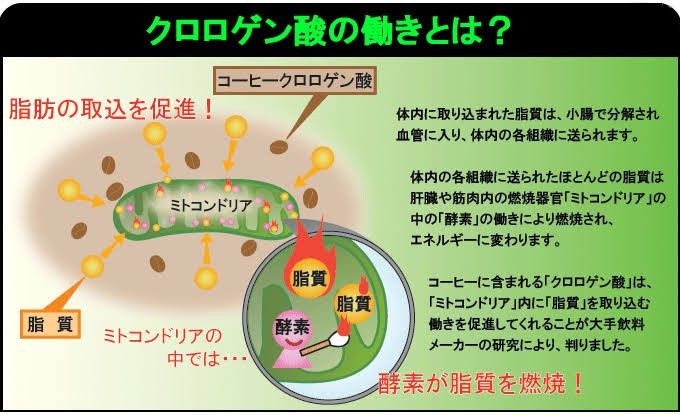 ◆お試し価格◆【ダイエットの味方】クーポン利用で300円★(1杯20円) ふわラテ 15本 (5種各3本)/ コーヒー カフェラテ