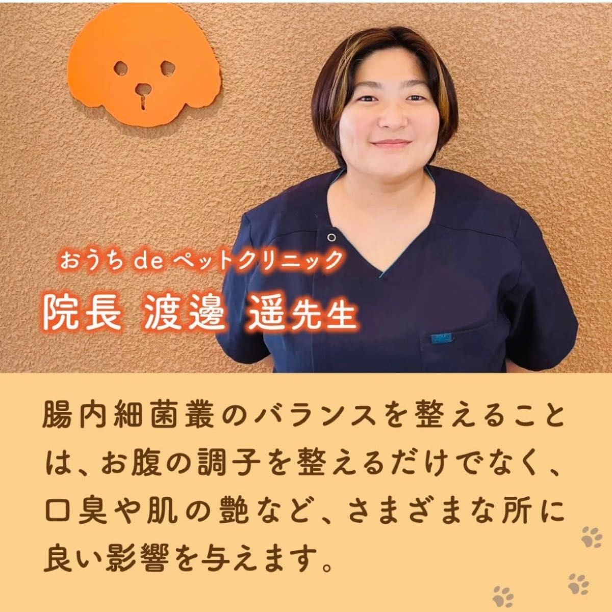 PETLINKMORE【獣医師監修】犬用 乳酸菌 サプリメント 犬 腸活 腸内環境 整腸 便 皮膚 60粒 30日分 2袋セット