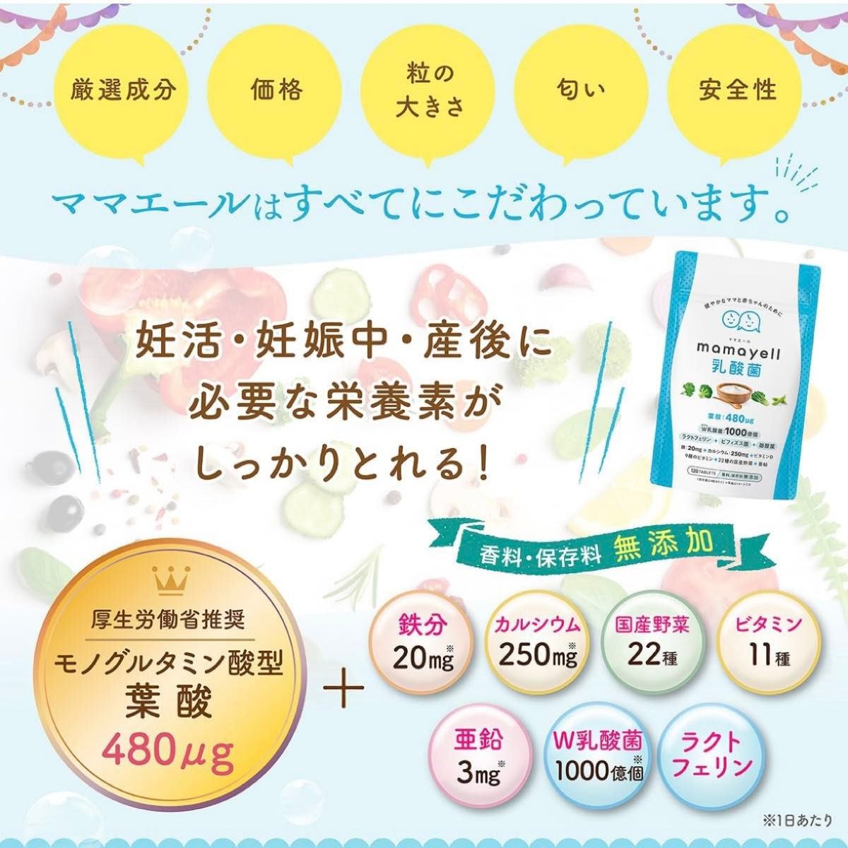 ママエール乳酸菌 葉酸 高配合 480μg 妊婦 妊娠 産後 サプリメント W乳酸菌 鉄 ビフィズス菌 酪酸菌 亜鉛 