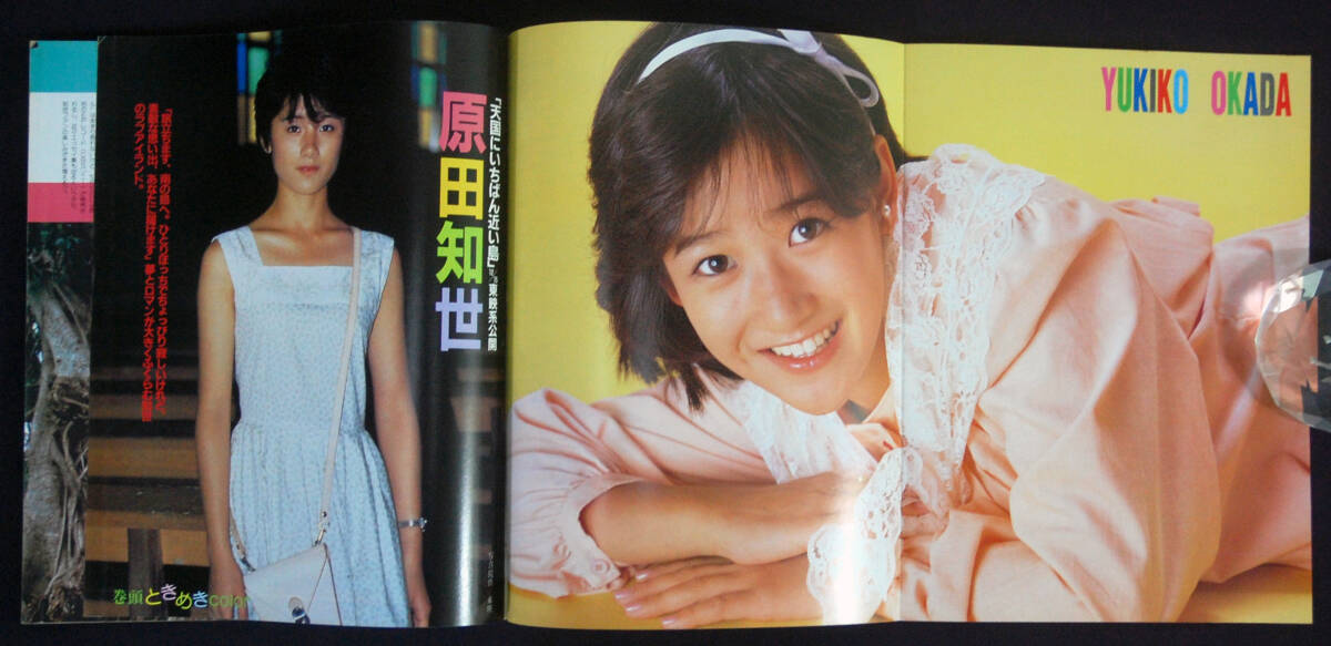 Yahoo!オークション - ヤングルーキー 1984年11月号 村上里佳子 Yahoo!オークション - ヤングルーキー 1984年11月号 村上里佳子