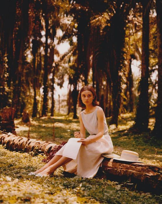 オードリーヘップバーン　Audrey Hepburn　輸入　写真　40328._画像1