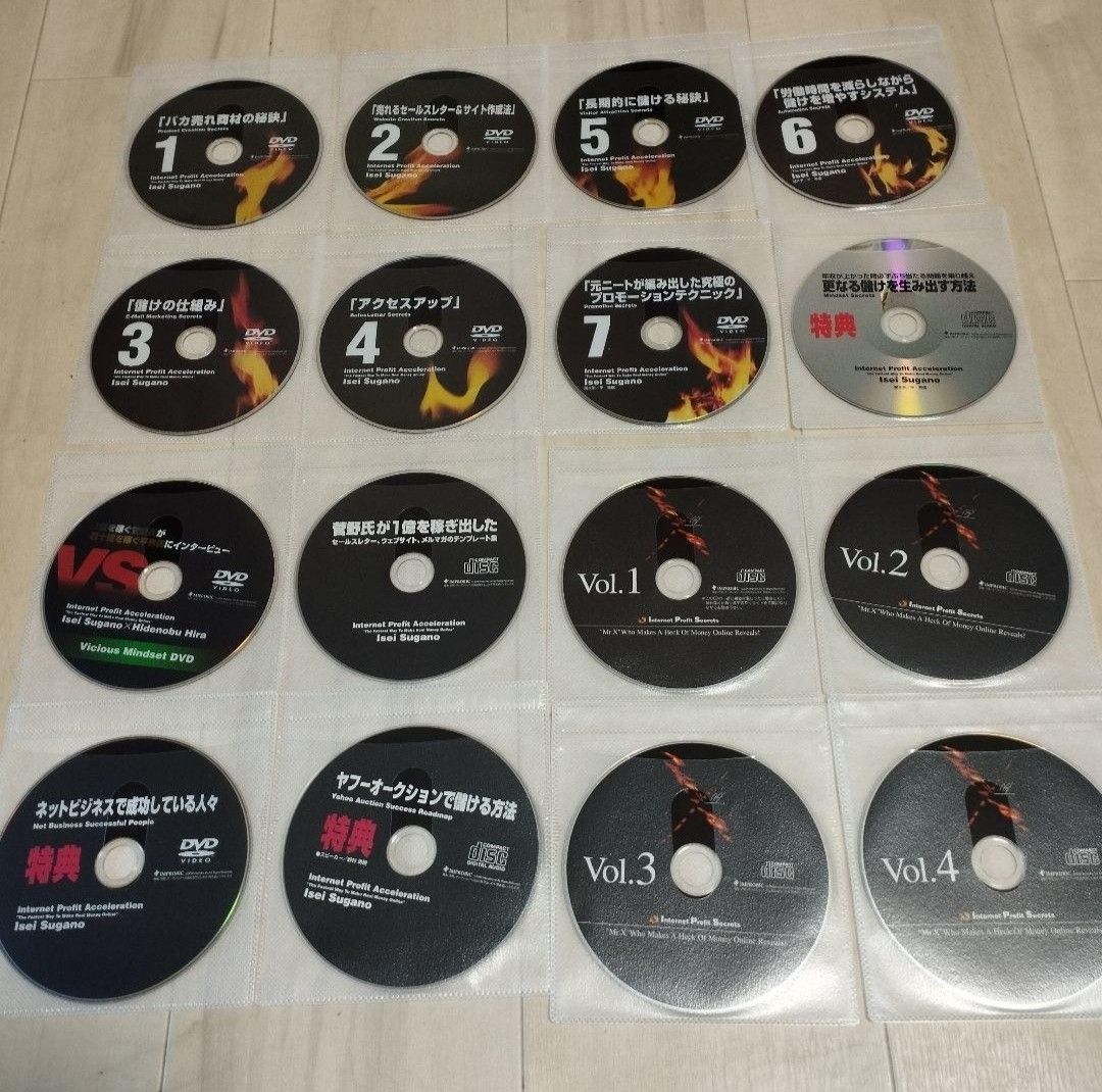 Internet Profit Acceleration 菅野一勢 平秀信