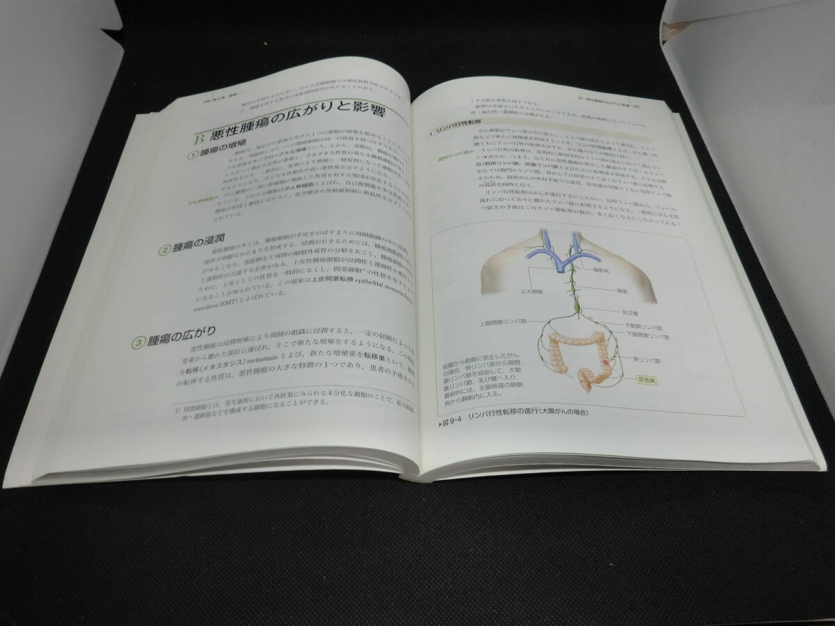 系統看護学講座　専門基礎　病理学　疾病のなりたちと回復の促進1　医学書院　C4.240329　_画像6