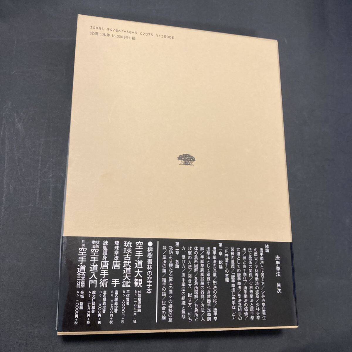 【希少】東京帝国大学 唐手研究総副会長 陸奥瑞穂編 唐手拳法 全 空手拳法 武術の画像2