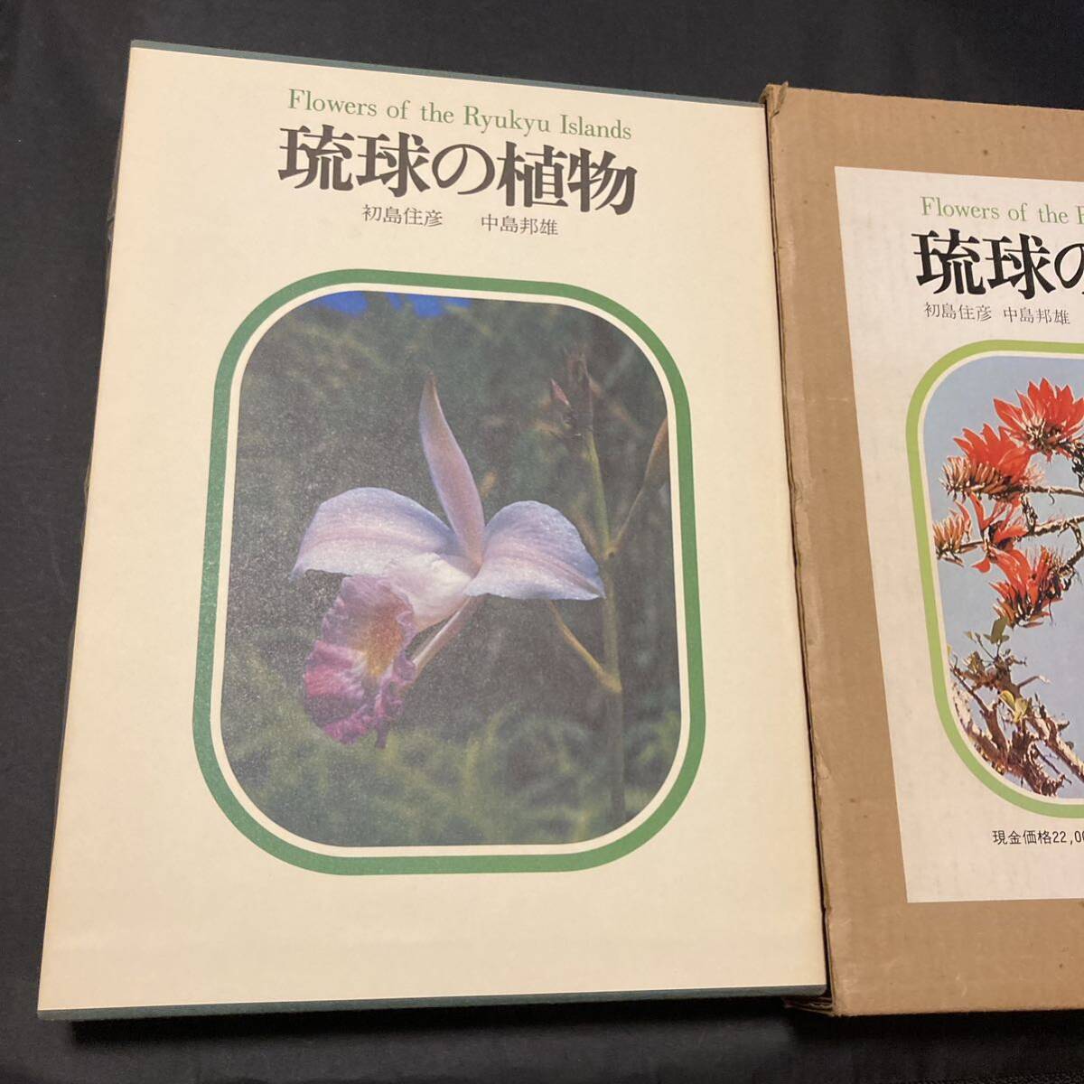 【希少】琉球の植物 Flowers of the Ryukyu Islands 屋久島　種子島を含む 講談社　沖縄　植物_画像5