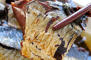 item_image_8
