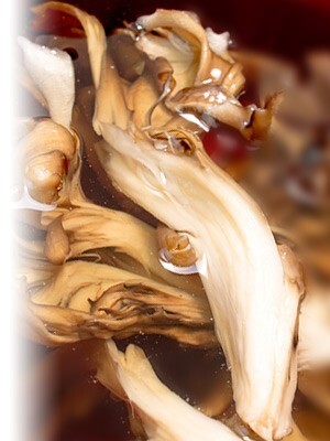 乾燥 舞茸 50g×2個 (北海道愛別産まいたけ)きのこの里 干しマイタケあいべつ産舞茸 旨味凝縮ドライ野菜 美味しいきのこ 国産 国内産の画像9