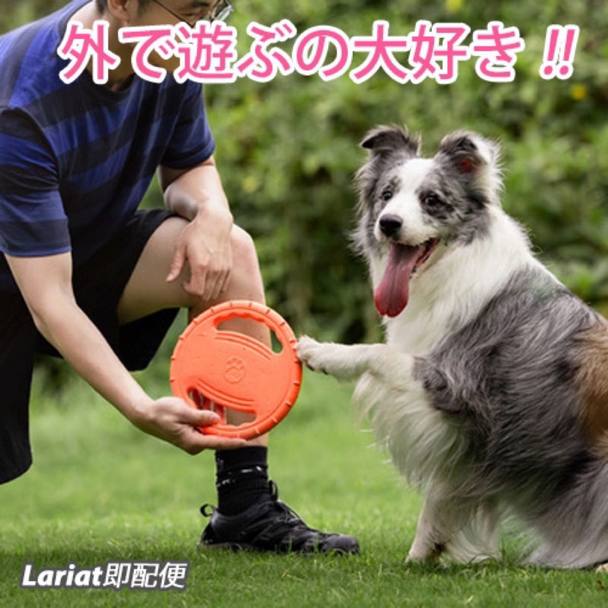 犬用フリスビー　ドッグフリスビー　投げるおもちゃ  運動 ストレス解消 レッド 小型犬 中型犬 大型犬　わんちゃん