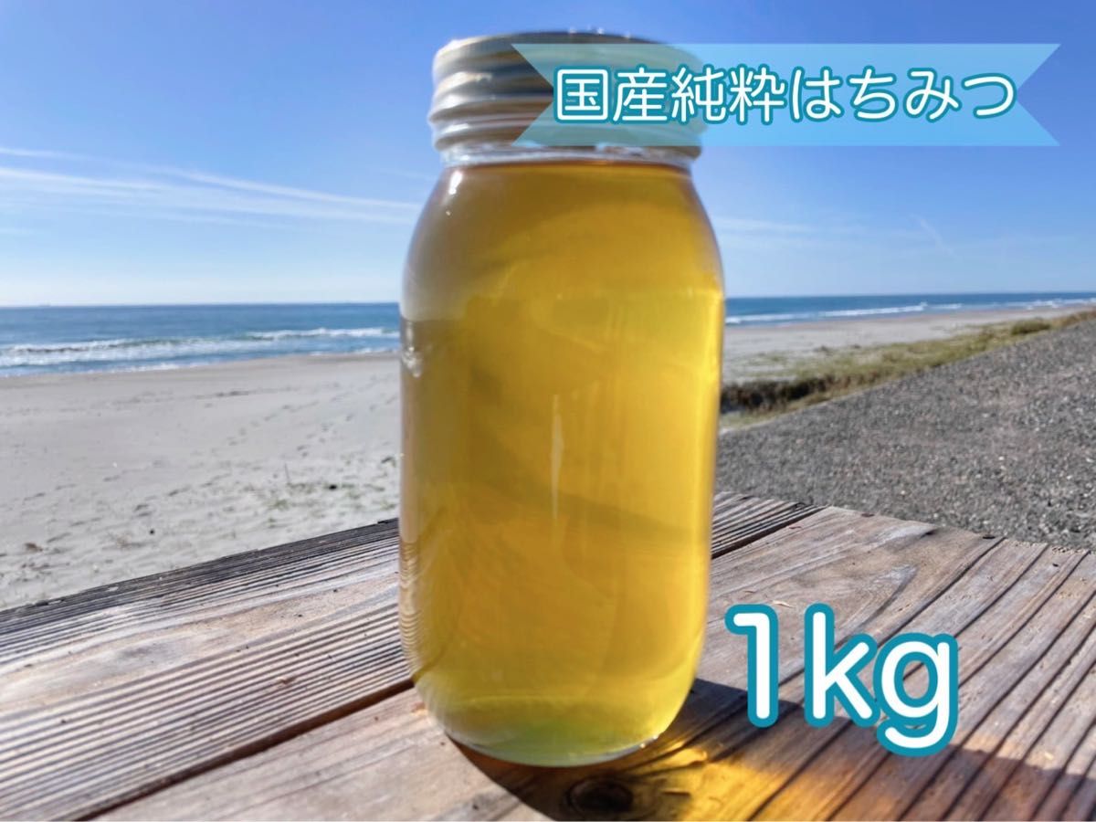 2023年 国産天然 百花蜜 非加熱 初夏の里山蜂蜜 1kg